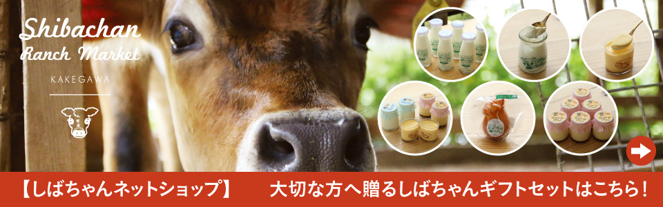 柴田牧場のホームページ【しばちゃんちのジャージー牛乳】ソフト ...